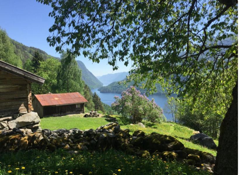 Dalen I Telemark Holiday Home With Garden المظهر الخارجي الصورة