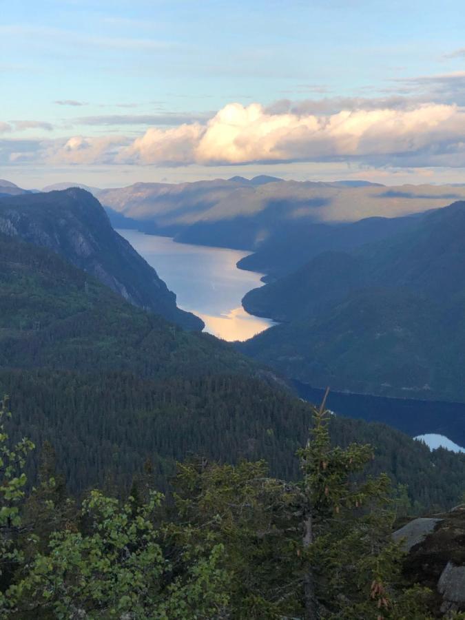 Dalen I Telemark Holiday Home With Garden المظهر الخارجي الصورة