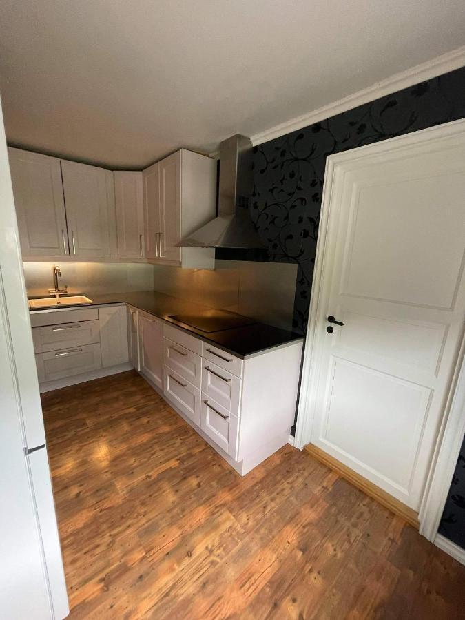 Dalen I Telemark Holiday Home With Garden المظهر الخارجي الصورة