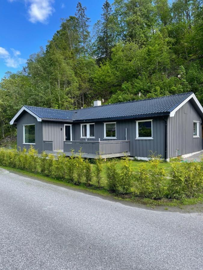 Dalen I Telemark Holiday Home With Garden المظهر الخارجي الصورة